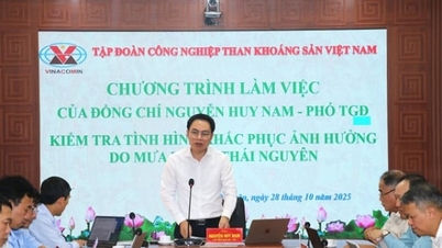 TKVのリーダーたちがタイグエンの洪水と嵐の復旧作業を視察