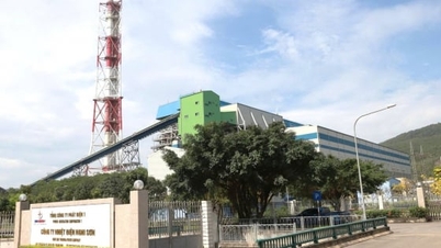 Nghi Son Thermal Power Company: Proactively responding to extreme weather