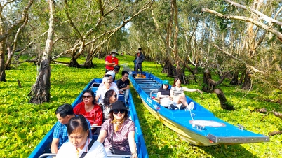 Раскрытие потенциала и преимуществ Анзяна