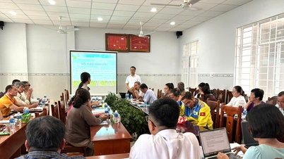 Efektivitas model pertanian yang beradaptasi dengan perubahan iklim