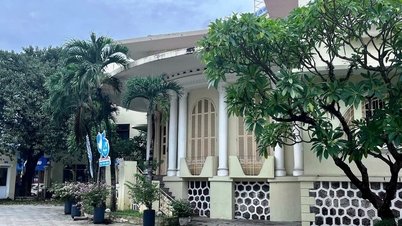 Concerns about 'exceptionally rare' villas being converted