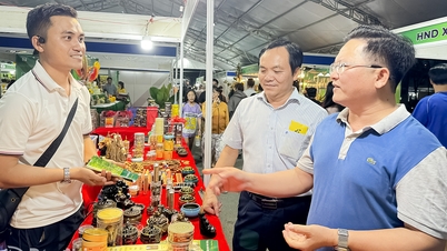 Trồng dó bầu tạo trầm thuận theo tự nhiên