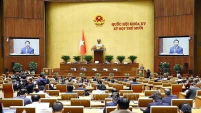 Pressmeddelande nr 12, 10:e sessionen, 15:e nationalförsamlingen