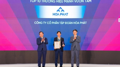 Hoa Phat στις 10 κορυφαίες ισχυρές μάρκες του 2025