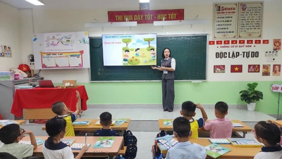 Calitatea învățământului primar îndeplinește cerințele