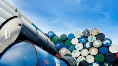 پٹرول کی قیمت آج 4 نومبر: RON95-III بڑھ کر 20,488 VND فی لیٹر ہو گئی