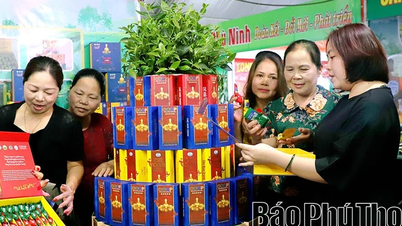 무역 촉진, 사업 통합을 위한 모멘텀 조성