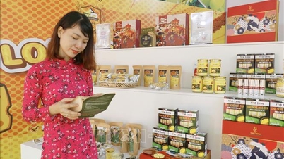 ផលិតផល OCOP បញ្ជាក់ពីតម្លៃរបស់ពួកគេនៅក្នុងសេដ្ឋកិច្ចកសិកម្ម