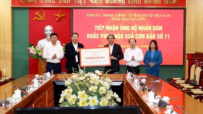 מחוז דונג נאי תומך במחוז תאי נגוין ב-10 מיליארד וונד כדי להתגבר על השלכות אסונות טבע.