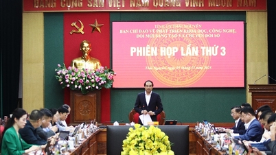 تنفيذ الحلول بشكل متزامن للتنمية العلمية والتكنولوجية