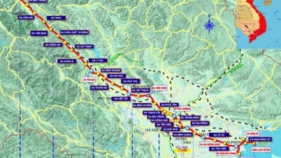 អនុវត្តការបែងចែកគម្រោងវិនិយោគផ្លូវដែក Lao Cai - Hanoi - Hai Phong