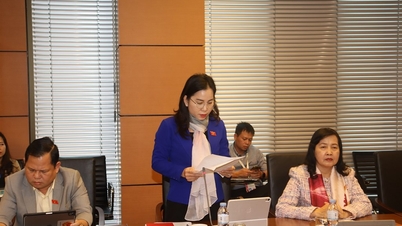 Perwakilan Perhimpunan Kebangsaan wilayah Ca Mau mencadangkan banyak kandungan khusus dalam membincangkan draf undang-undang.