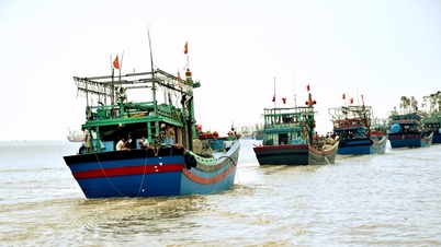 Mengapakah nelayan tidak berminat dengan insurans bot nelayan?