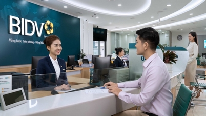 Plusieurs banques ont simultanément augmenté leurs taux d'intérêt, et les dépôts des particuliers ont atteint un nouveau record.