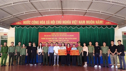 Hands that rebuild peace