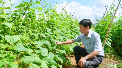 Økologisk grønnsaksproduksjon