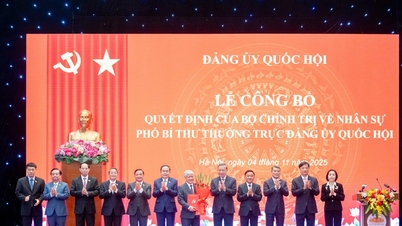 អគ្គលេខាធិកា To Lam បង្ហាញសេចក្តីសម្រេចរបស់ការិយាល័យនយោបាយស្តីពីការងារបុគ្គលិក