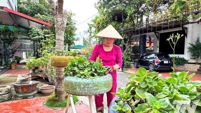 שלבו ידיים לבניית סביבת מגורים ירוקה, נקייה ויפה