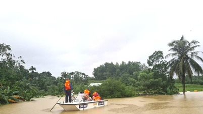 Podpora „sil na místě“