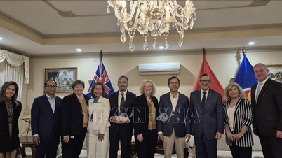 Promoting bilateral cooperation between Vietnam and Australia