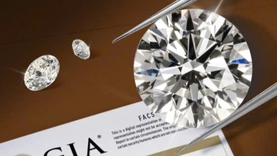 Tierra Diamond melancarkan program "Lebih Murah, Pulangan Tunai" untuk pelanggan yang membeli berlian GIA