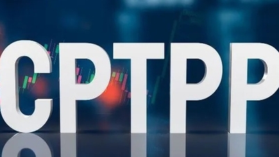 विलय की 'लहर' से पहले सीपीटीपीपी का आकर्षण