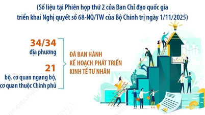 Số doanh nghiệp, hộ kinh doanh thành lập mới và quay trở lại hoạt động tăng mạnh
