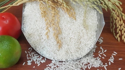 चावल की कीमत आज 4 नवंबर, 2025: चावल में 100 VND की मामूली कमी