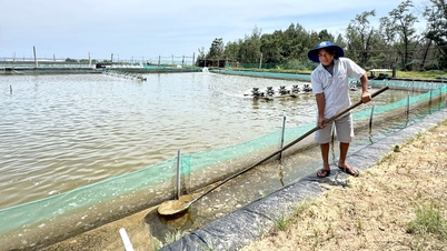 ベトナムの漁師の生活の新たな方向性