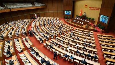 Delegace Národního shromáždění provincie Dak Lak projednává důležité návrhy zákonů