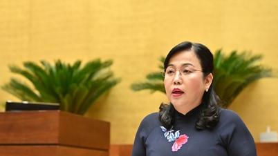 Timely remove obstacles in implementing the Law on Geology and Minerals