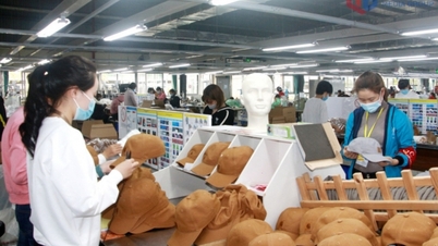 Trei descoperiri strategice - fundamentul dezvoltării durabile