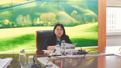 Bau des Projekts „Meereswirtschaftszentrum Hai Phong – Quang Ninh“