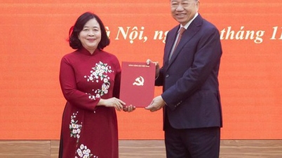 हनोई पार्टी समिति के सचिव कॉमरेड बुई थी मिन्ह होई को स्थानांतरित कर दिया गया और उन्हें वियतनाम फादरलैंड फ्रंट और केंद्रीय जन संगठनों की पार्टी समिति का सचिव नियुक्त किया गया।