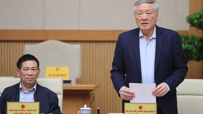 हमें अंतर्राष्ट्रीय वित्तीय केंद्र के निर्माण और संचालन में देरी का लाभ मिला है।