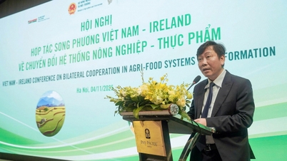 Vietnam - Ireland ke arah perkongsian dalam transformasi makanan