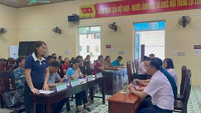 Sprijin pentru gospodăriile care împrumută credite din politicile de credit afectate de dezastre naturale în Thai Nguyen
