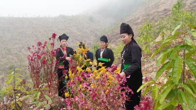 ĐỘC ĐÁO LỄ HỘI “ MÌN LOÓNG PHẠT” – VẺ ĐẸP VĂN HÓA NGƯỜI CỐNG GIỮA ĐẠI NGÀN LAI CHÂU