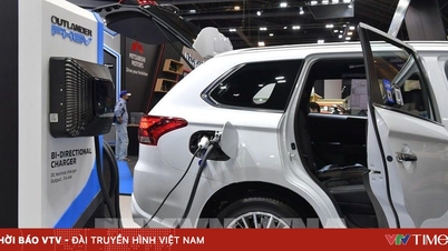 China's new energy vehicles hit record sales