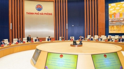 Hai Phong - Sverige samarbetar i utvecklingen av förnybar energi, digital omvandling och gröna hamnar