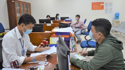 Cà Mau bứt phá trong hành trình số hóa toàn diện