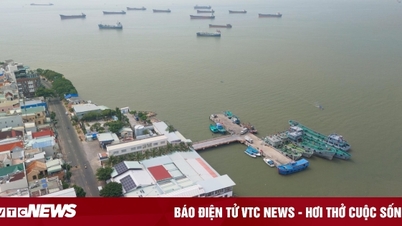 TP.HCM giao Vingroup lập dự án đầu tư đường vượt biển từ Cần Giờ đi Vũng Tàu
