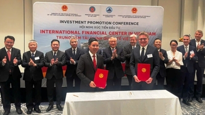 Mais de 40 organizações e empresas estão interessadas no Centro Financeiro de Da Nang.