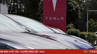 Vânzările de mașini Tesla au scăzut brusc pe multe piețe europene