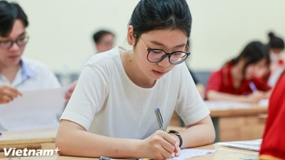 أعلنت وزارة التربية والتعليم عن العديد من النقاط الجديدة المهمة في القبول الجامعي لعام 2026.