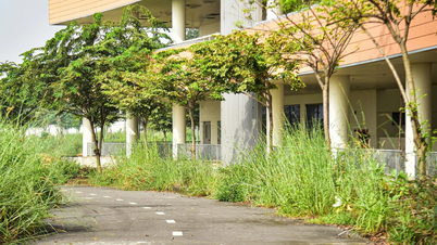 Situação atual do hospital de 4,5 trilhões de VND na cidade de Ho Chi Minh após 10 anos de construção: a obra é "apenas para inglês ver", o mato está por toda parte.