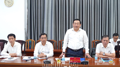 نائب رئيس اللجنة الشعبية الإقليمية ترينه مينه هوانغ يعمل مع مشروع Becamex IDC - VSIP المشترك