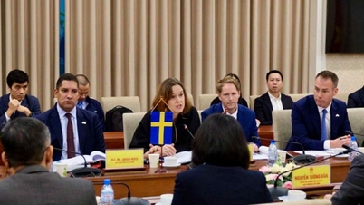 Швеція супроводжує В'єтнам на шляху сталого розвитку та інновацій