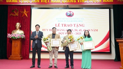 즈엉호아(Duong Hoa) 공산당위원회는 11월 7일 당 휘장 수여식과 사후 수여식을 거행했다.