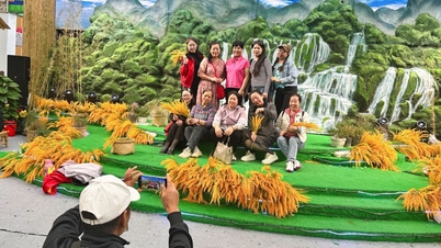 People excitedly check in at Ban Gioc waterfall, Cao Bang in the middle of the '6 best super fair'